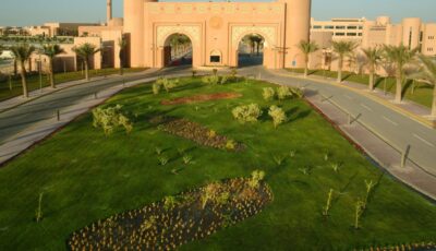 جامعة الملك فيصل تحصد 3 جوائز للابتكار في التعليم والتدريب الإلكتروني