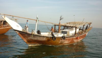 300 قارب تتوجه لصيد “الكنعد” بعد رفع الحظر