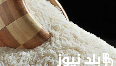 الارز بكام؟.. سعر طن الأرز الشعير اليوم الاثنين 12 فبراير 2024 في جميع الاسواق المصرية