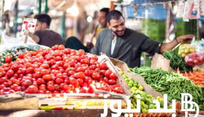 قائمة أسعار الطماطم اليوم في سوق العبور بتاريخ الإثنين 12 فبراير 2024
