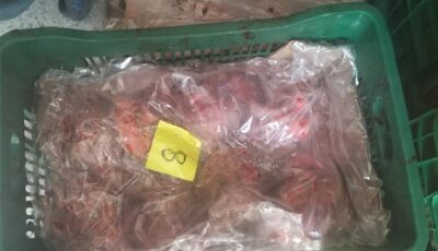 جريدة الصباح نيوز – بنزرت: حجز 2.1 طن من اللحوم المجمدة في مخزن عشوائي