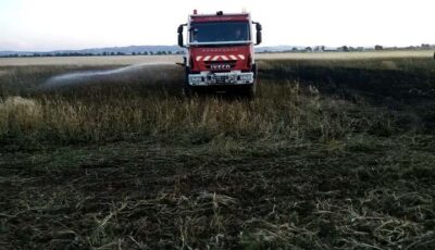 جريدة الصباح نيوز – جندوبة .. حريق يخلف خسائر هامة في حقل من القمح